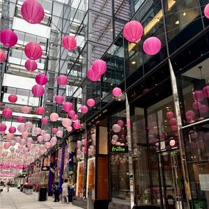 Meet your Posher, Ana